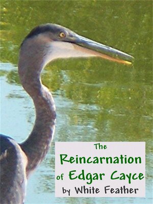 cover image of The Reincarnation of Edgar Cayce
